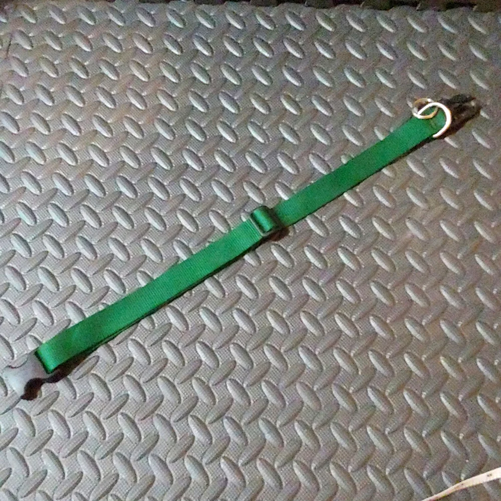 GREEN DOG COLLAR * PET COLLAR * 17-30